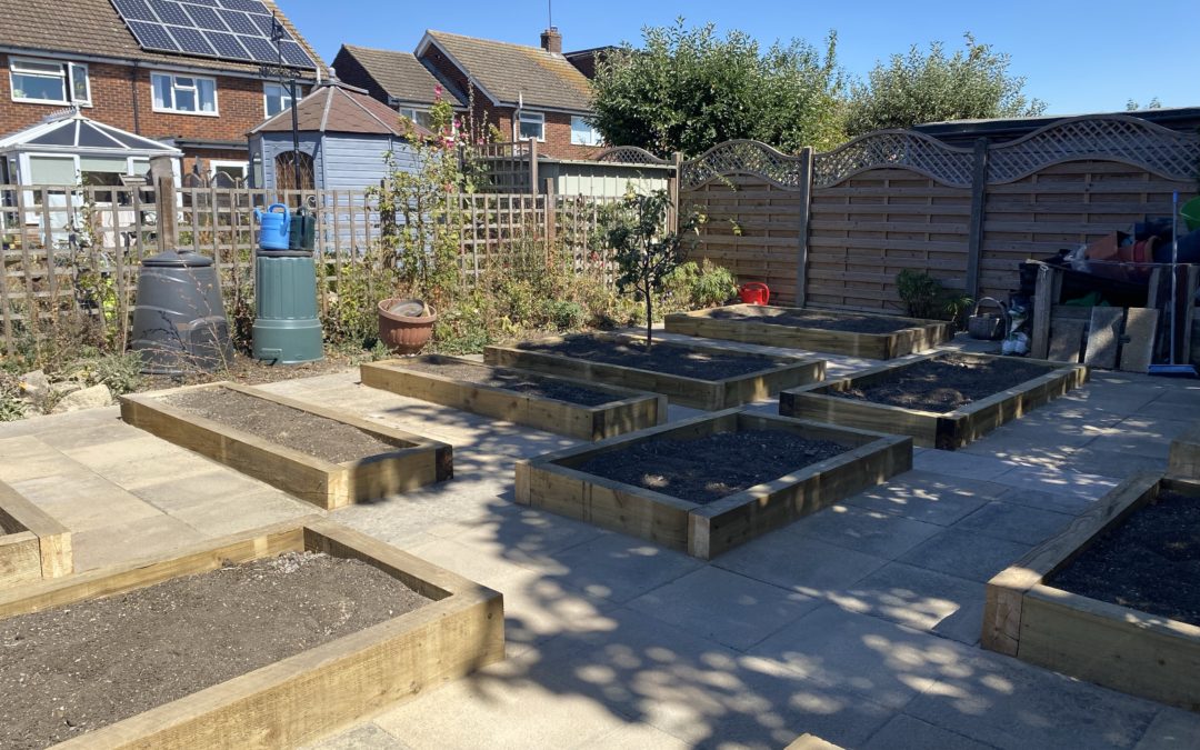 Raised beds with reclaimed slabs for walkways between